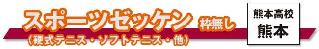 スポーツゼッケンプリント（枠無し）