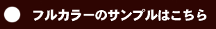 フルカラーのサンプル